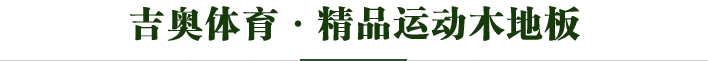 吉奧精品運(yùn)動(dòng)木地板